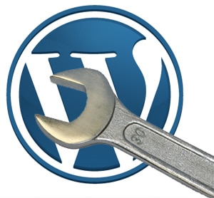 cursus WordPress | individuele cursus WordPress